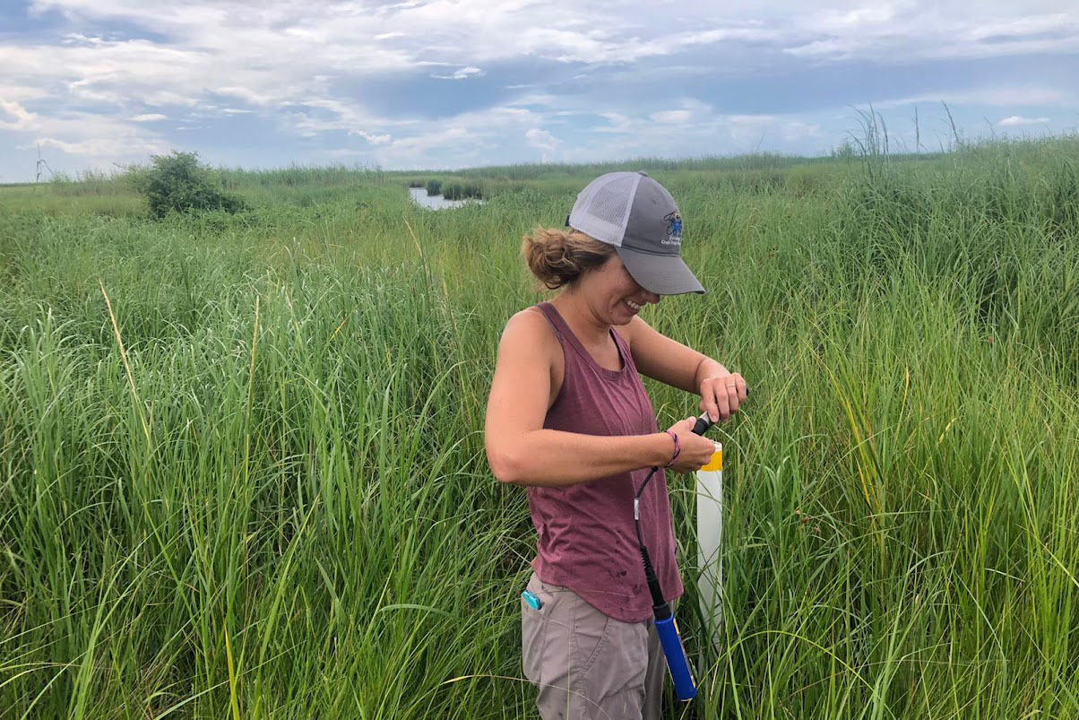 Lipford is setting up a water logger, used to study hydrology at marsh sites.