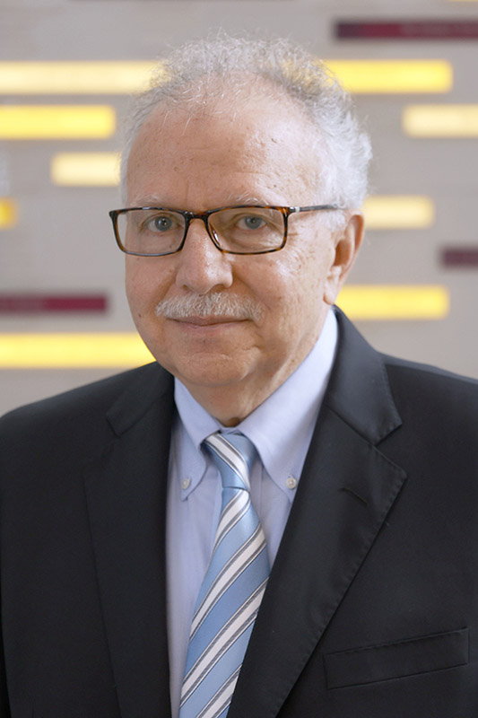 George Voyiadjis