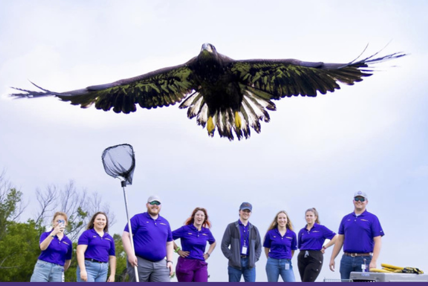 students releasing rehabilitated bird