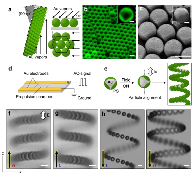 Nature Communications image--Bharti article