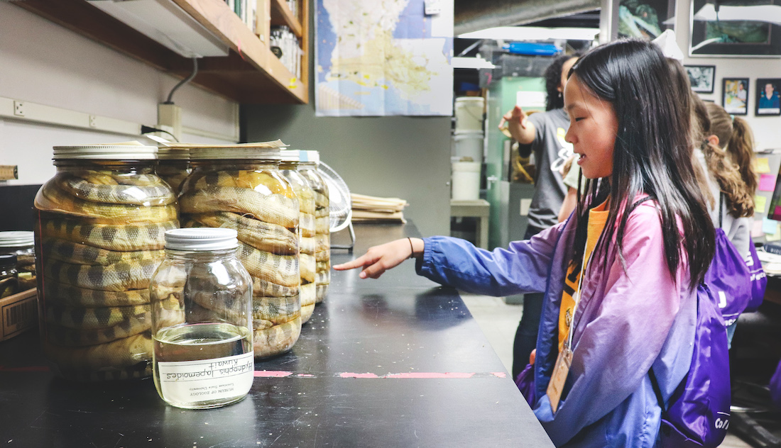 A Girls' Day the Museum participant points at a glass of specimen while on tour of the LSU Museum of Natural Science collections.