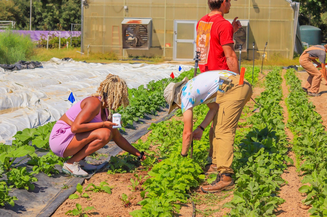 student planting community garden