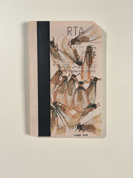 coptotermes formosanus. transit authority card with insects drawn on it