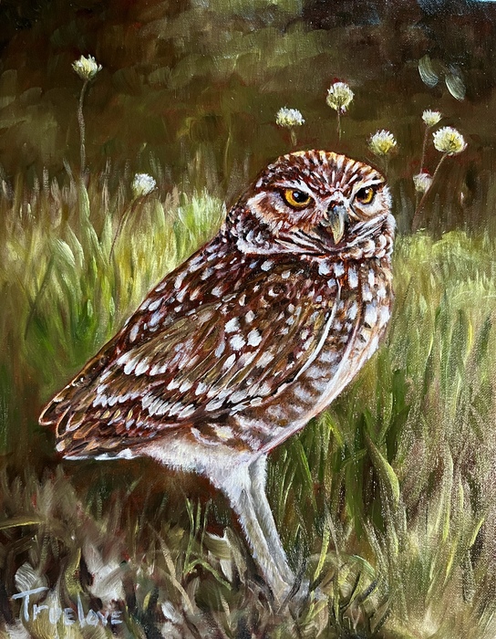 Owl Be Back! oil painting of an owl