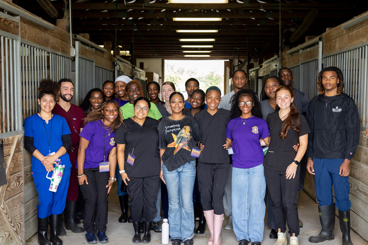 group photo of Insights students